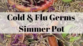 Cold/Flu Germs Simmer Pot