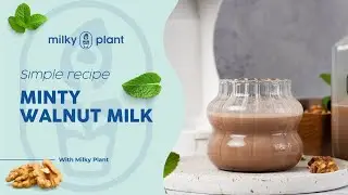 Easy Walnut Mint Milk Recipe: Healthy & Dairy-Free | Recipes by Milky Plant 🌱