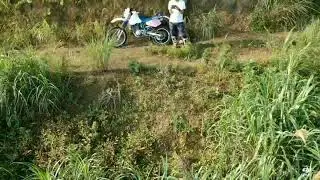 樱花園