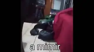 a mimir
