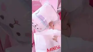 Miniso kawaii plushies haul part 1 