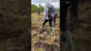 Crossing a bog not getting your shoes wet is an art that must be learned!
