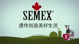 Immunity™ Chinese