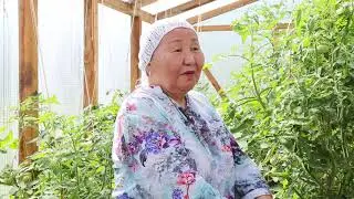 Любовь Петровна Луковцева оҕуруоту көрүүгэ сүбэлэрэ