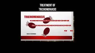 Treatment of trichomoniasis 