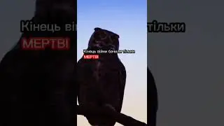TOMORROW WILL NOT COME