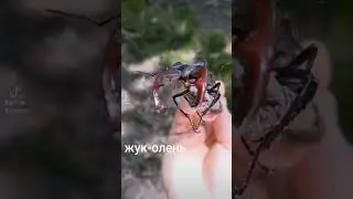 18 июня 2023 г.
