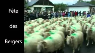 Fête des bergers d'Aramits (2011)