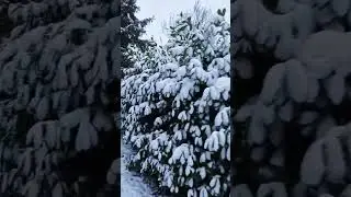Снежный парк в Германии