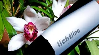 ОРХИДЕИ и  ПОДСВЕТКА. Какие лампы у моих ОРХИДЕЙ зимой, одна на всех 😀