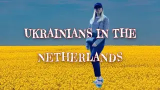 ЖИЗНЬ В НИДЕРЛАНДАХ. КУРИНАЯ ФЕРМА. ДОМИК НА ФЕРМЕ.