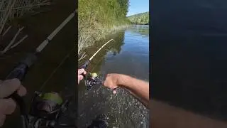 Вжарил, так вжарил #рыбалка #спиннинг #забайкальскийкрай