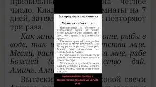 14 августа 2024 г.