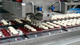 Extreme Fast Cake Production Process, Modern Food Processing Machines Inside Factory