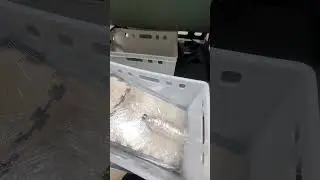 давным давно в Феврале!