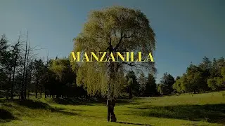 Donovan - Manzanilla