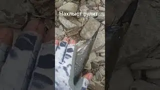 Начало нахлыстовой рыбалки..