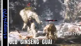 Black Myth: Wukong. Old Ginseng Guai Defeated.