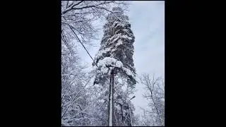 Алла Пугачева - По улице моей (Светлана Грайс кавер)