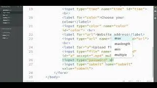 31  Label and input  Understanding file upload -2
