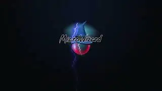 MicroWizard