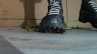 shellys crush flowers