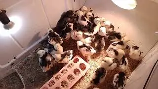 17 мая