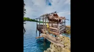 Panoramic Viewer VR 360