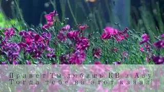 Баннер канала