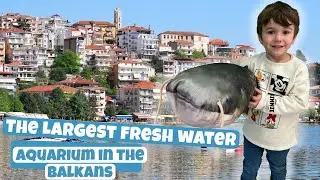 THINGS TO DO IN GREECE: AQUARIUM OF KASTORIA