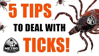 5 TIPS To Deal With TICKS! - Backpacking Tips For Beginners