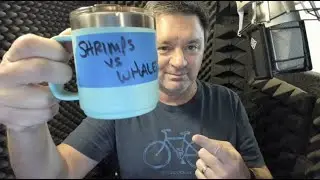 Voice Over:  Catch Shrimps, Not Whales!