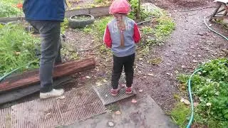 Собираем сливки...