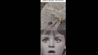 Reactube`s memes of the week 😂  reactube 😂 