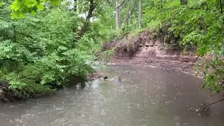 Typical Ontario summer downpour in Mississauga.