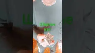 #шарлье