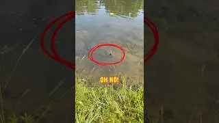 Never Expected THIS While Live Bait Fishing! 