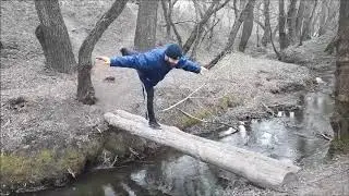 Лес и упражнение на баланс 