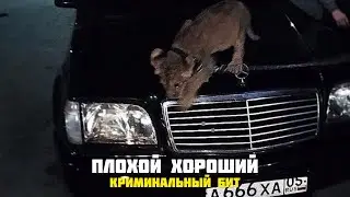 ♛ Пацаны хотят быть в теме но оставаться в тени 🖤🎶 ♛ (2022)