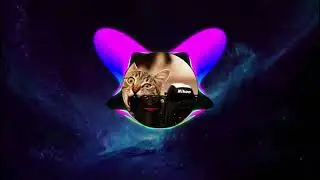 Лучшая музыка,Топ