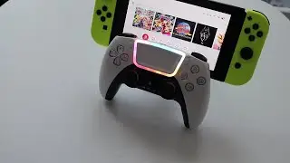 DualSense Clone That Works on The Switch | BLUN