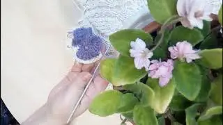 Фиалка крючком - Мастер-класс. 🧶 ДЛЯ ТЕХ, КТО ВЯЖЕТ. Детская библиотека
