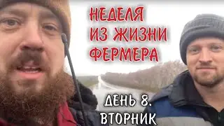 Перегон тракторов в Бийск! Вторник - день восьмой! (Неделя на ферма Мечты! Осень 2023!!)