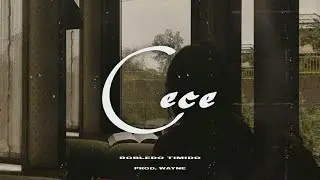 Robledo Timido - Cece (Official Audio)
