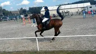16.09.2017 Kobylarnia Rabka TOW. L