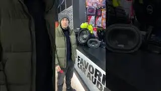 Свой в Альфе