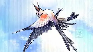 Scissor-tailed Flycatchers | Bird Illustration Time-lapse | #Procreate