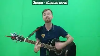 Звери   Южная ночь