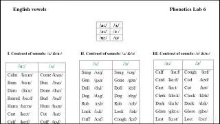 Phonetics 1st Year ✅ English Vowels 🔊 /a:/ Vs /ʌ/, /ɔː/ Vs /ɔ/, /uː/ Vs /ʊ/🎵