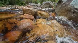 Slow motion footage of the stream at Venus Baths within Gariwerd (Grampians)